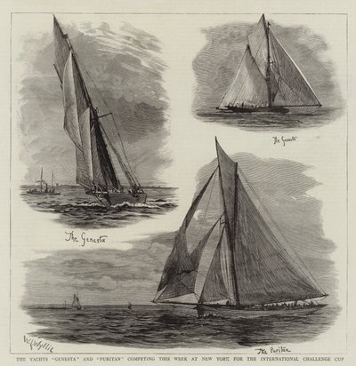 Los Yates Genesta y Puritan compitiendo esta Semana en Nueva York por la Copa Internacional de Desafío de William Lionel Wyllie
